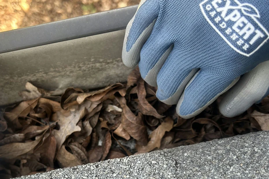 Gutter Cleaning Brentwood, MO